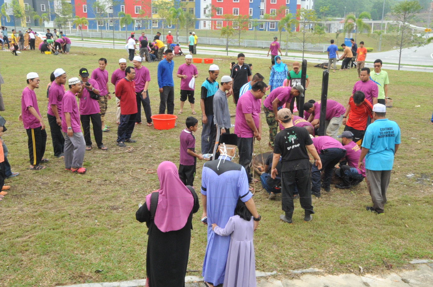 PRO15 150 KORBAN HAS 6934